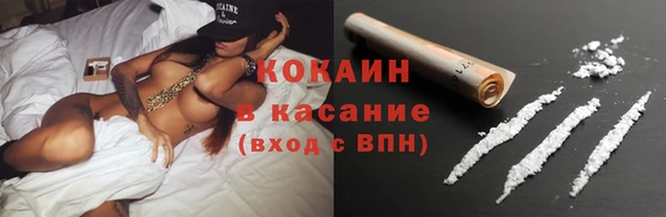 крисы Белокуриха