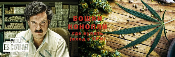 крисы Белокуриха