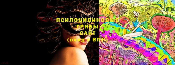 крисы Белокуриха