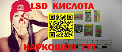 спиды Камышлов