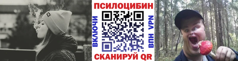 Псилоцибиновые грибы Psilocybe  Славгород 