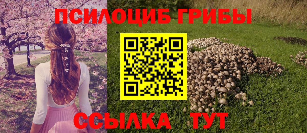Галлюциногенные грибы ЛСД Славгород